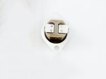SWT0911.jpg